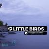 Little Birds (Original Mix) - Forest Therapy