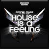 House Is a Feeling - Ronnie Maze&Linda Dunn