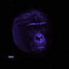 No hook (Explicit) - Tray Sosa&Xotic