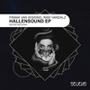 Hallensound (Raw Vandalz Edit) - Frank van Wissing&Raw Vandalz