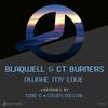 Awake My Love (Steven Mestre Remix) - Blaqwell&Ct Burners