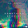 Something Special - Ari Grey&Ali Razavi Khosrowshashi