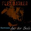 Freigeist (Flex Music Remix) - Flex Barker&Flex Music