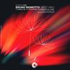 West Wind (Fellini Remix) - Bruno Bignotto&Fellini