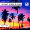What You Said (Willem de Roo Radio Edit) - Nick Arbor&Lokka Vox