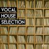 Someday (Faz Phillys Flavour's Mix) - Faz&Vale Ducros