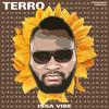 Issa Vibes (Explicit) - Terro