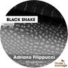 Black Snake (Soren Aalberg Remix) - Adriano Filippucci