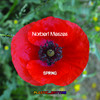 Spring (BDTom Radio Edit) - Norbert Meszes&BDTOM