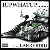 Larry Bird (Explicit) - 1upwhatup