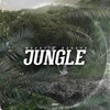 Jungle (Explicit) - Mosby&NAGATO