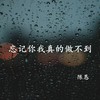 忘记你我真的做不到 - 陈恳