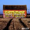 The Future - Bailey