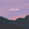 Never Gone - Dekleyn