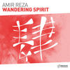 Wandering Spirit (Original Mix) - Amir Reza