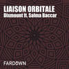 Liaison Orbitale (Original Mix) - Dixmount&Salma Baccar