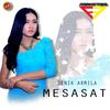 Mesasat - Denik Armila