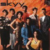 Big Fun - Skyy