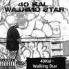 Walking Star (Explicit) - 40Kal