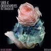 Feeling the Groove (Original Mix) - Sara&GrooveANDyes