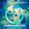 Catch The Vibes (Original Mix) - Cyberpunkers&GLN