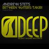 Between Waters (Original Mix) - Andrew StetS