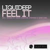 Feel It (Shur-I-Kan Vocal Mix) - Liquideep