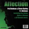 Affection (Guy Robin Remix) - Pat Bedeau&Steve Gurley&Shishani&Guy Robin