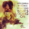 What's Going On (Two 4 Soul Vox Dub Mix) - Chelsea Como&Walter Ricci&Peppe Citarella