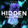 HIDDEN (Ceasar Remix) - Ceasar&Roche&charlie fennimore