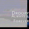 Always & Forever - Droopy