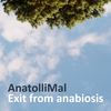 Something Went Wrong (Original Mix) - AnatolliMal