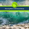 Walking along the Tides - Eric Library of Nature Sounds