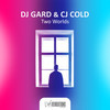 Stars (Airplay Mix) - DJ Gard&CJ Cold