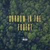 Sorrow in the Forest - Meusa