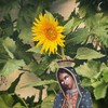 GARDEN OF TRAP(feat. MENDOBLENDO & SWBY) (Explicit) - MADGLA$$E$&MENDOBLENDO&SWBY