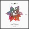Secret Whisper (Hernan Cerbello Remix) - Luiz B