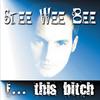 F... This B**ch (Groove Gangsters Radio Version) - Stee Wee Bee