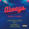 Always Wondered - Nick Tara&Nicholas Alexander Tara&Noisy Sauce