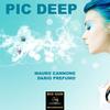 Pic Deep (Original Mix) - Mauro Cannone&Dario Prefumo
