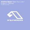 England - Andrew Bayer