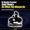 Do What You Wanna Do (Dub Mix) - DJ Rhythm&Soul Theory