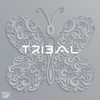 Tribalico (Original Mix) - Nipkoss