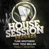 Finally (Rework) (Dolly Rockers Remix) - Tune Brothers&Tesz Millan