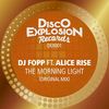 The Morning Light (Original Mix) - DJ Fopp&Alice Rise