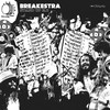 Family Rap (Laid Back in the Rhodes Remix) - Breakestra&Soup&Double K&Munyungo Jackson&Chali 2na&Mixmaster Wolf