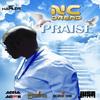 Praise - NC Dread