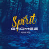 Spirit - Gromee&Mahan Moin