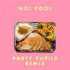 Not Cool (Party Pupils Remix|Explicit) - More Giraffes