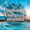 Symphony No. 2 in D major  Op 73, I - The St Petra Russian Symphony Orchestra&Brahms&Bernardo  Kuznetsov